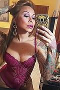 Rimini Trans Alessandra Toledo Pornostar 339 67 43 933 foto selfie 156