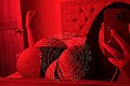 Trieste Trans Gina Latina 327 47 16 071 foto selfie 33