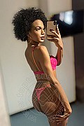 Novara Trans Miele 331 78 08 280 foto selfie 28