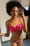 Novara Trans Miele 331 78 08 280 foto selfie 26