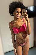Novara Trans Miele 331 78 08 280 foto selfie 25