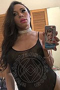 Milano Trans Bruna Agnely 388 12 35 794 foto selfie 31