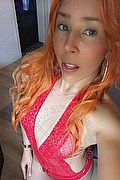 Sassari Trans Sara Bambola 328 13 49 535 foto selfie 34