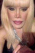 Milano Trans Nicole Vip Venturiny 353 35 38 868 foto selfie 628