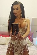 Alessandria Trans Pamela Trans Fitness 351 12 05 888 foto selfie 41