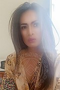 Pordenone Trans Bianca Lady Boy 393 22 33 064 foto selfie 8