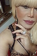 Milano Trans Nicole Vip Venturiny 353 35 38 868 foto selfie 558