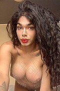 Novara Trans Miele 331 78 08 280 foto selfie 22