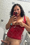 Teramo Trans Stefany Costa 353 43 64 491 foto selfie 34