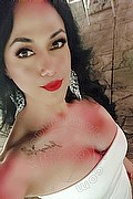 Parma Trans Bianca Maravilla 380 78 48 515 foto selfie 5