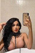 Novara Trans Miele 331 78 08 280 foto selfie 44