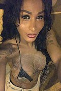 Bari Trans Paula Lucarely 327 27 72 495 foto selfie 4