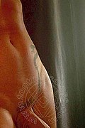 Vienna Trans Lady Platinum  00436643725260 foto selfie 7