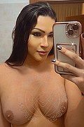 Milano Trans Paulinha Ferraz 320 88 26 069 foto selfie 11