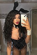 Novara Trans Miele 331 78 08 280 foto selfie 41
