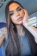 Recife Trans Bella Angel  005581988073834 foto selfie 7