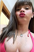 Trento Trans Gabriella Andrade 328 00 50 444 foto selfie 3