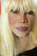 Milano Trans Nicole Vip Venturiny 353 35 38 868 foto selfie 535