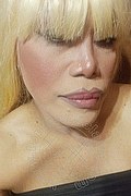 Milano Trans Nicole Vip Venturiny 353 35 38 868 foto selfie 530