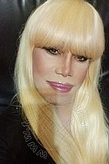 Milano Trans Nicole Vip Venturiny 353 35 38 868 foto selfie 521