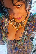 Napoli Trans Melissa Baiana 329 24 64 336 foto selfie 38