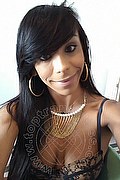Sanremo Trans Vivy Noronha 333 18 67 209 foto selfie 15