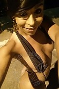 Sanremo Trans Vivy Noronha 333 18 67 209 foto selfie 17