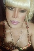 Milano Trans Nicole Vip Venturiny 353 35 38 868 foto selfie 482