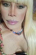 Milano Trans Nicole Vip Venturiny 353 35 38 868 foto selfie 468