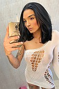 San Benedetto Del Tronto Trans Brunna Campanaro 350 93 35 566 foto selfie 35