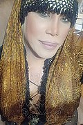 Milano Trans Nicole Vip Venturiny 353 35 38 868 foto selfie 310