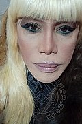 Milano Trans Nicole Vip Venturiny 353 35 38 868 foto selfie 241