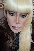 Milano Trans Nicole Vip Venturiny 353 35 38 868 foto selfie 224