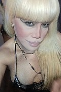 Milano Trans Nicole Vip Venturiny 353 35 38 868 foto selfie 162
