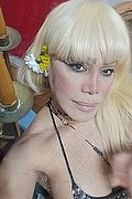Milano Trans Nicole Vip Venturiny 353 35 38 868 foto selfie 155