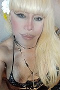 Milano Trans Nicole Vip Venturiny 353 35 38 868 foto selfie 145