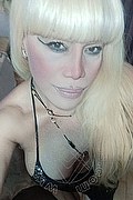 Milano Trans Nicole Vip Venturiny 353 35 38 868 foto selfie 92