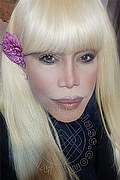 Milano Trans Nicole Vip Venturiny 353 35 38 868 foto selfie 79