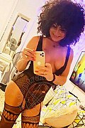 Gallarate Trans Daysy 339 33 89 602 foto selfie 4