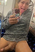 Teramo Trans Stefany Costa 353 43 64 491 foto selfie 24