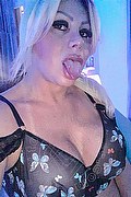 Milano Trans Bianca Voguel 338 62 07 066 foto selfie 4