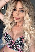 Milano Trans Fernanda Ambrosio 327 78 03 350 foto selfie 13