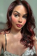 Giussano Trans Camila Muniz 377 30 66 132 foto selfie 16