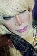 Milano Trans Nicole Vip Venturiny 353 35 38 868 foto selfie 63