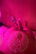 Bologna Trans Lara Melo 389 43 41 787 foto selfie 20