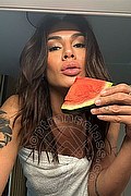 Milano Trans Gabriella Rodriguez 380 63 95 947 foto selfie 1