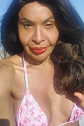 Prato Trans Tain� Oliveira 328 53 82 487 foto selfie 26