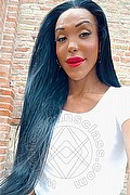 Frosinone Trans Wanessa Armani 351 80 69 231 foto selfie 18