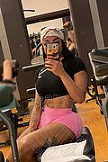 Milano Trans Milena Miranda 388 63 10 811 foto selfie 3