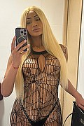 Salvador Bahia Trans Keitty Tolposky  00557182900655 foto selfie 2